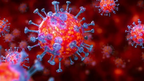 3D Virus Animation in Microscopic View