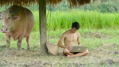 Asiatischer Landwirt nutzt Computer auf der Farm