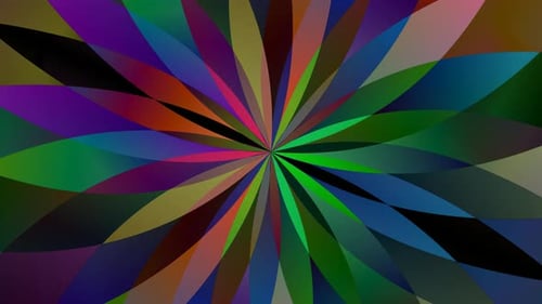 Fondo animado de flores coloridas