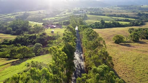 Picturesque Rural Landscape from Above