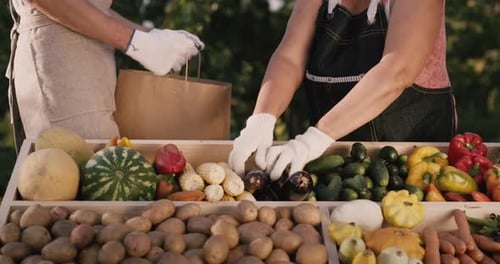 Seller Puts Vegetables in Buyer's Package at Farmers Market