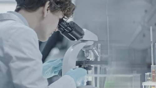 Scientist Works With Microscope in Bright Laboratory