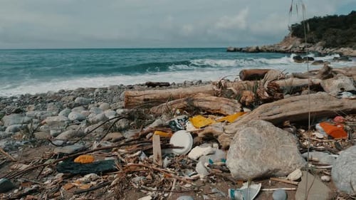 Polluted Beach with Plastic Waste and Debris