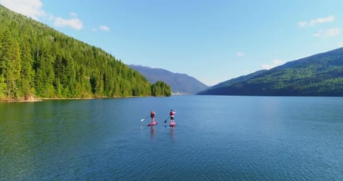 Couple rowing a stand up paddle board in the river
