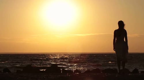 Carefree Woman Enjoying Beautiful Sunset on Beach