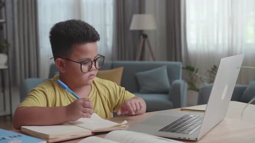 Boy Studies At Desk With Laptop Indoors