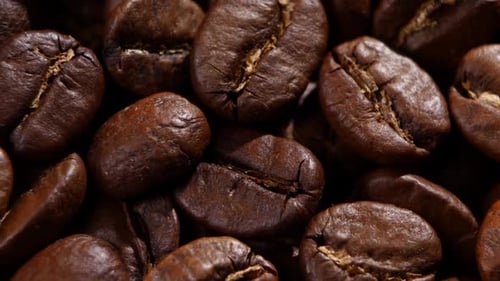 Coffee Beans. Close Up. Rotating