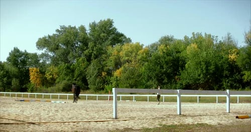 Horse Riding in the Summer Forest