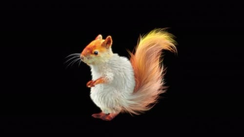 Realistic 3D Animated Squirrel Standing Loop