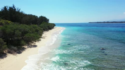 Shallow waves crashing against the beautiful shoreline of a tropical beach with lush green flora and