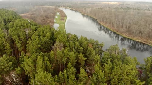 Aerial: Landscape of Pine Forest on One Side of the River and Bare Deciduous Trees on the Other