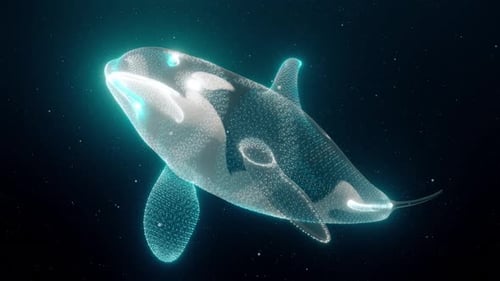Killer Whale Orca 4k
