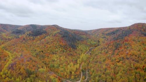 Aerial View. Hills Covered with Autumn Trees. Yellow and Orange Leaves Look Beautiful in the Fall.