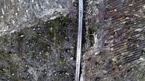 Blick von oben nach unten auf die Entwaldung in Polen