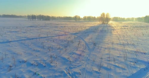 Aerial Drone View of Cold Winter Landscape with Arctic Field Trees Covered with Frost Snow and