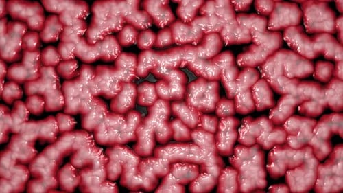 Pulsating Organic Tissue Cell Background Loop