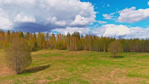 Vue aérienne des champs avec des forêts par une journée ensoleillée de printemps un paysage magique avec des lacs à la cime des arbres