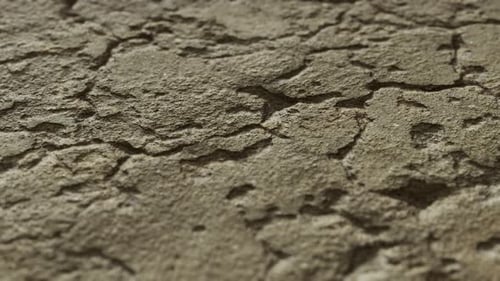Closeup of Dirty Ground Road