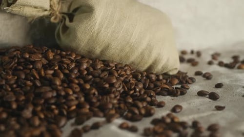 Roasted Coffee Beans with a Burlap Sack
