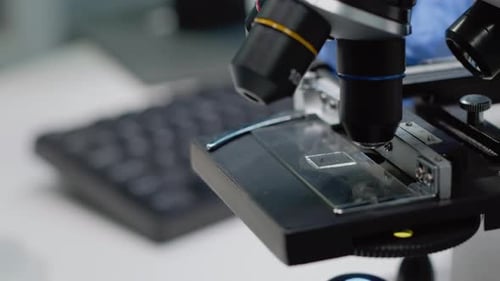 Close Up of Glass Tray on Microscope for Examination