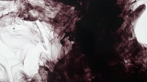 Black Ink Swirling Elegantly in Water Abstractly