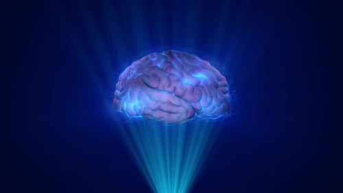 Holographic Human Brain Scanning and Rotating