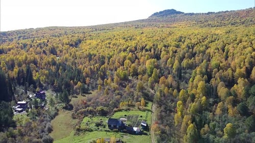 Chalet d'une station touristique au milieu d'une forêt et d'une rivière de montagne, vue aérienne