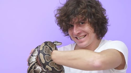 Un serpent rampe sur la main d'un homme