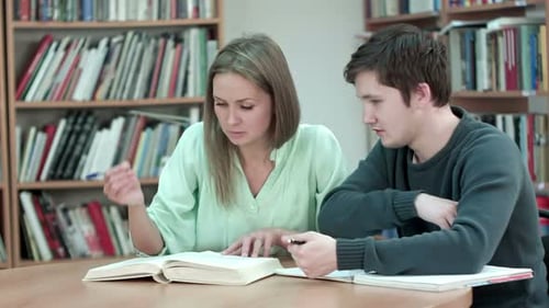 Two Teens Studying at Library