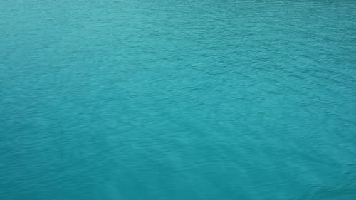 Surface Of The Water