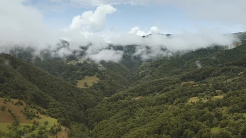 Aerial View on Green Forest and Fog in Mountains