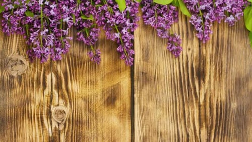 Lilac Blossoms on Rustic Wooden Background