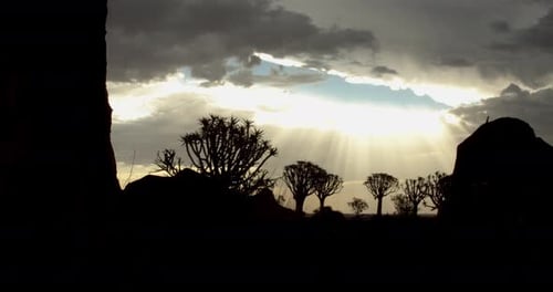 Atemberaubende Sonnenstrahlen platzen durch die Wolken, Köcher, Baumwald, 4k