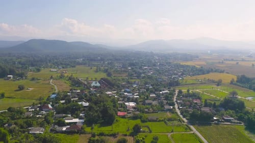 Vista aérea superior de arroz em casca fresco, campo agrícola verde na zona rural