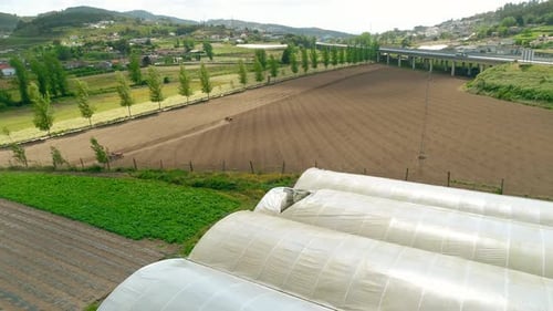 Tractor plows the ground with a plow in the field