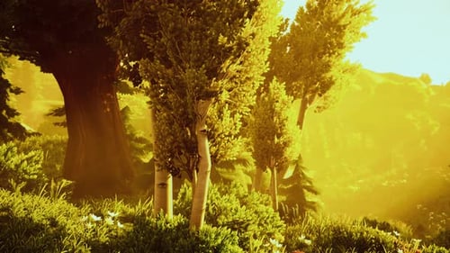 Forêt verte fleurie de dessin animé sur coucher