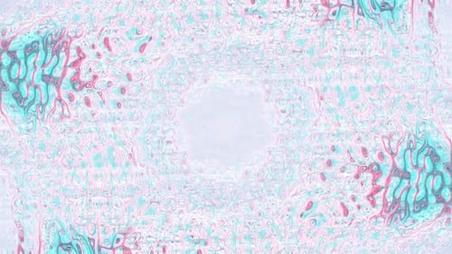 Vibrant Abstract Fluid Seamless Loop Background Animation