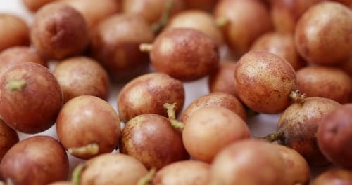 Clausena Wampi-Frucht