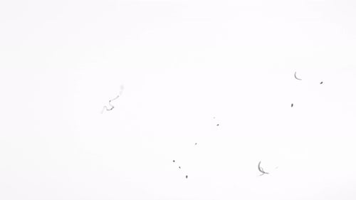 Rouleau photo avec texture sale