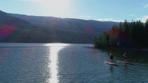 Couple rowing a stand up paddle boad in the river 4k