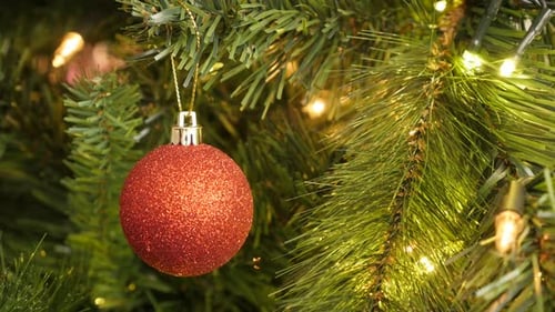 Shiny bauble on the tree brach close-up 4K 2160p 30fps UltraHD footage - Decorative red Christmas or