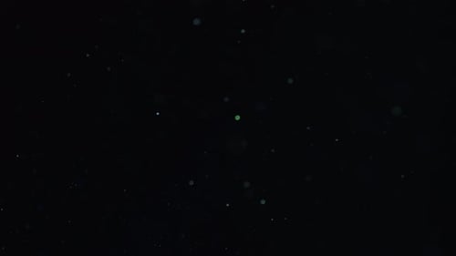 Organic Dust 41