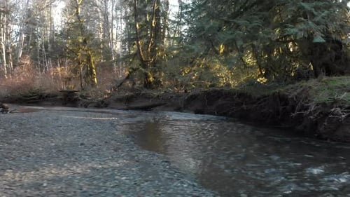 Spring Morning with Drone showing a small creek (riparian zone) and shore
