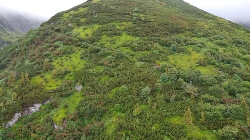 Mountain Full Of Vegetation