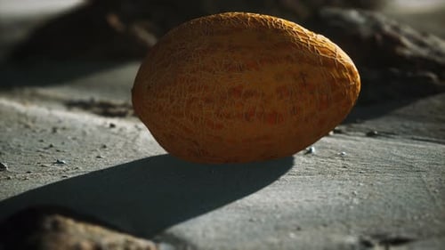 Desert Melone am Sandstrand