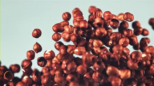 Shelled Hazelnuts Floating in Slow Motion