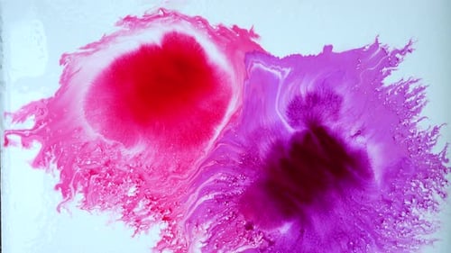 Abstract Pink and Purple Ink Spreading on Surface