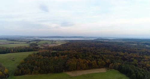 Aerial View of Forest in Autumn