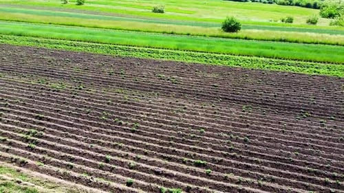 Aerial drone view of a flying over the rural agricultural landscape.