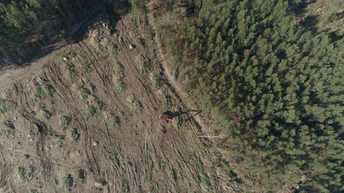Umweltproblem Entwaldung. Eine Maschine arbeitet mit Baumstämmen im
Wald
